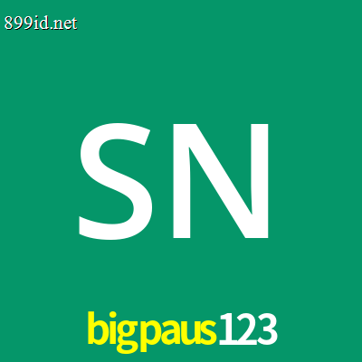 Siti Nurhaliza - Senior Reviewer bigpaus123 Indonesia